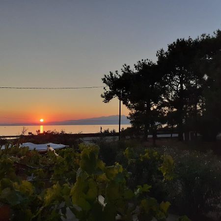 Το Σπίτι Με Το Πηγάδι - Wellcottage Thassos Skála Kallirákhis Exterior foto