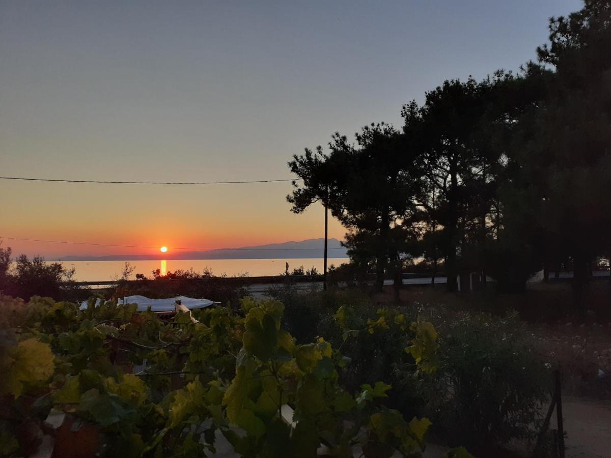 Το Σπίτι Με Το Πηγάδι - Wellcottage Thassos Skála Kallirákhis Exterior foto