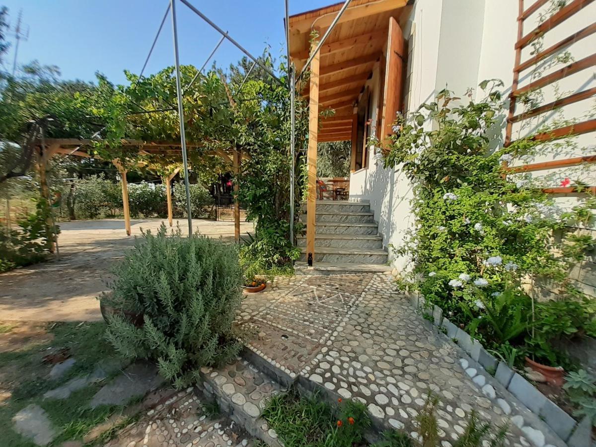 Το Σπίτι Με Το Πηγάδι - Wellcottage Thassos Skála Kallirákhis Exterior foto