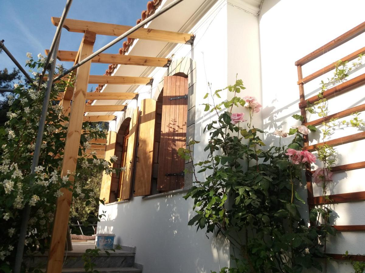 Το Σπίτι Με Το Πηγάδι - Wellcottage Thassos Skála Kallirákhis Exterior foto