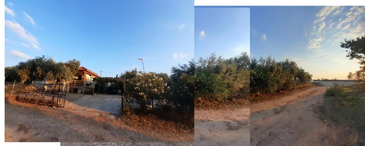 Το Σπίτι Με Το Πηγάδι - Wellcottage Thassos Skála Kallirákhis Exterior foto
